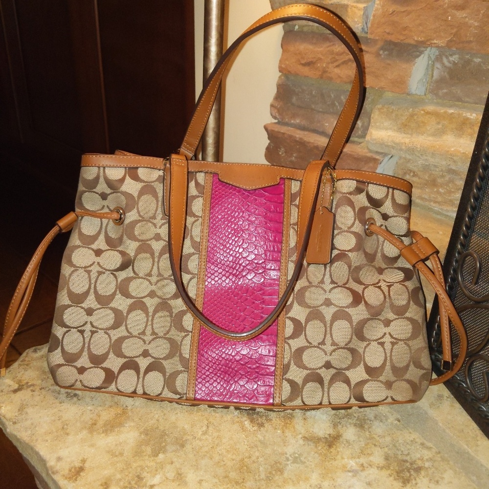 Khaki & Cherry Python Signature Stripe Carryall To